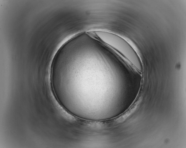 X0000099500957200805291125