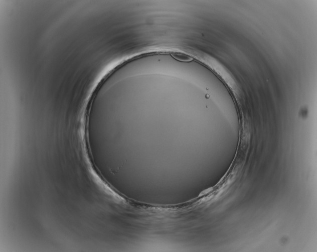 X0000099500958200805291125