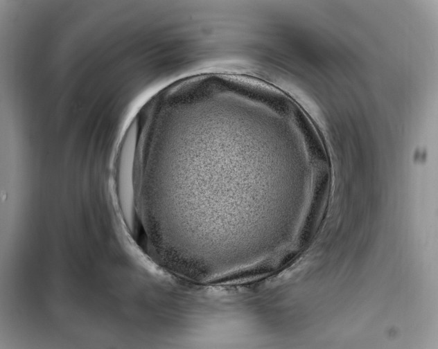 X0000099500960200805291125