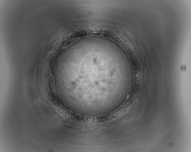 X0000099500961200805291124