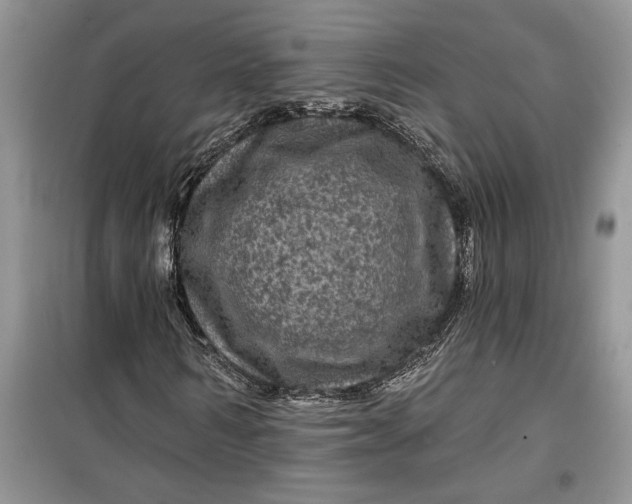 X0000099500962200805291124