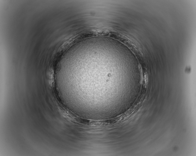 X0000099500963200805291124