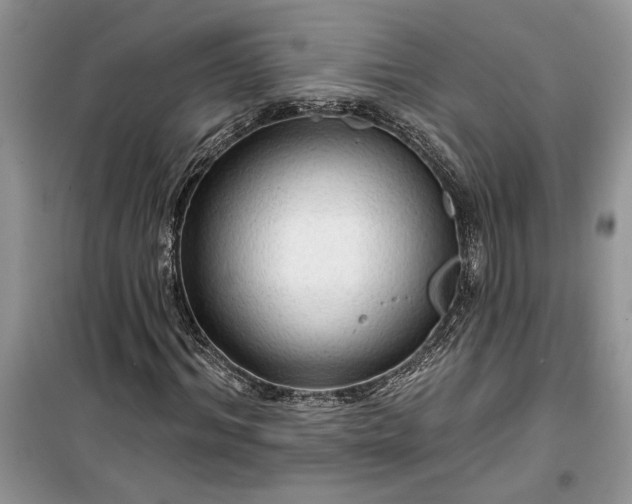 X0000099500964200805291124