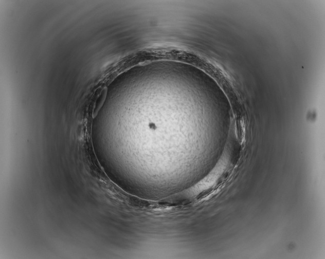 X0000099500965200805291124