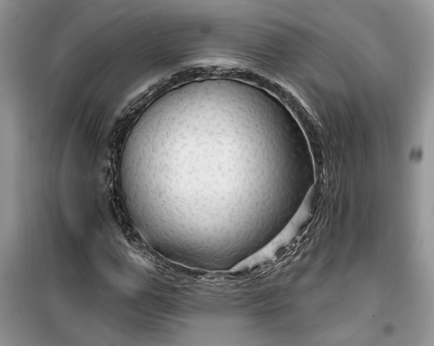 X0000099500967200805291124