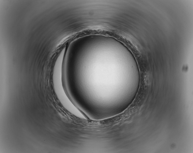 X0000099500968200805291124