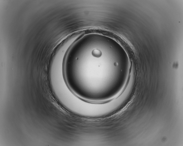 X0000099500969200805291124