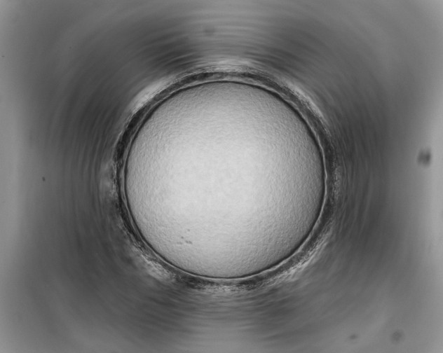 X0000099500970200805291124