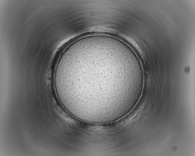 X0000099500971200805291124