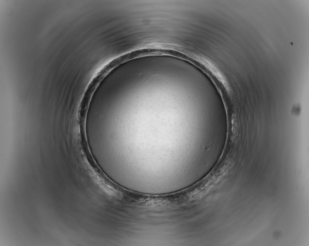 X0000099500972200805291124