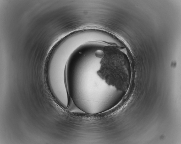 X0000099500973200805291124