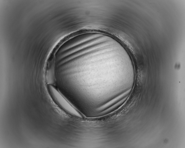 X0000099500976200805291124