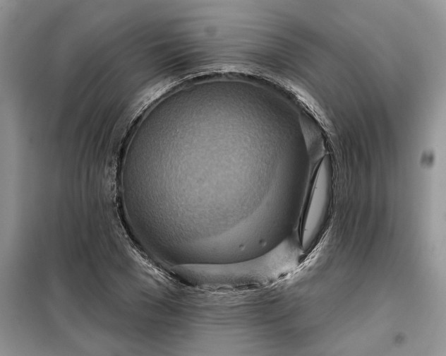 X0000099500977200805291124