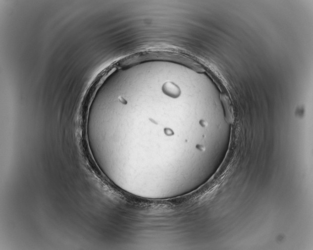 X0000099500979200805291124