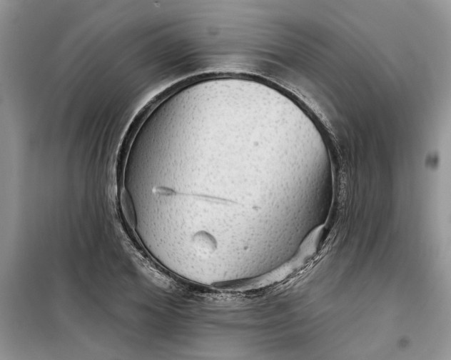 X0000099500980200805291124