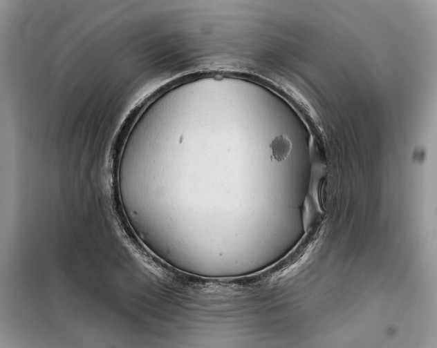 X0000099500981200805291124