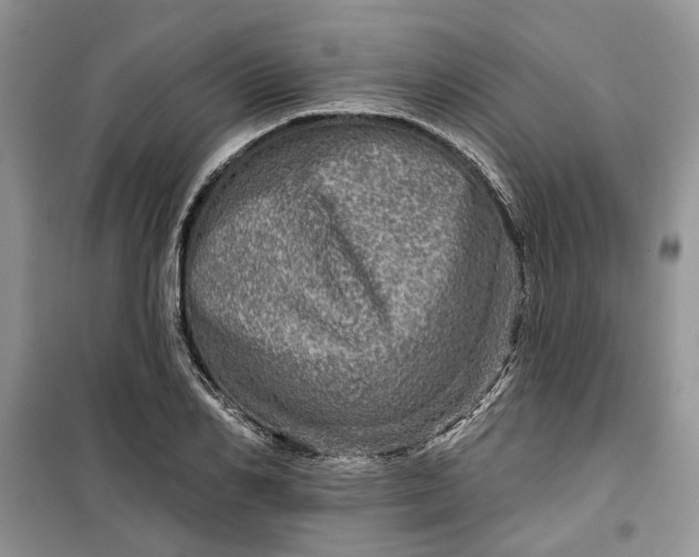 X0000099500982200805291124