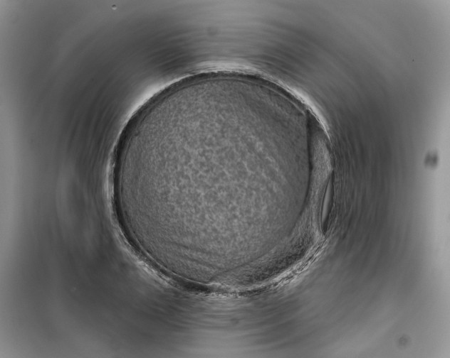 X0000099500983200805291124