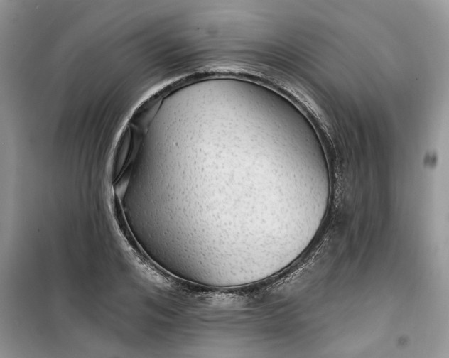 X0000099500984200805291124