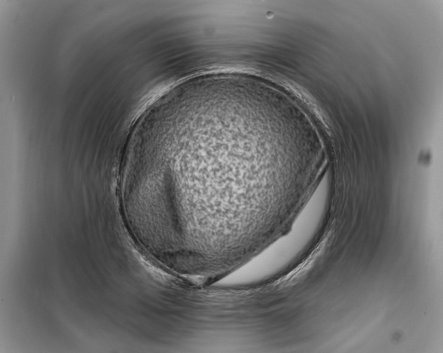 X0000099500985200805291124