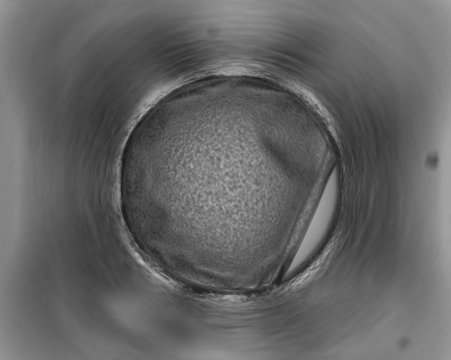 X0000099500986200805291124