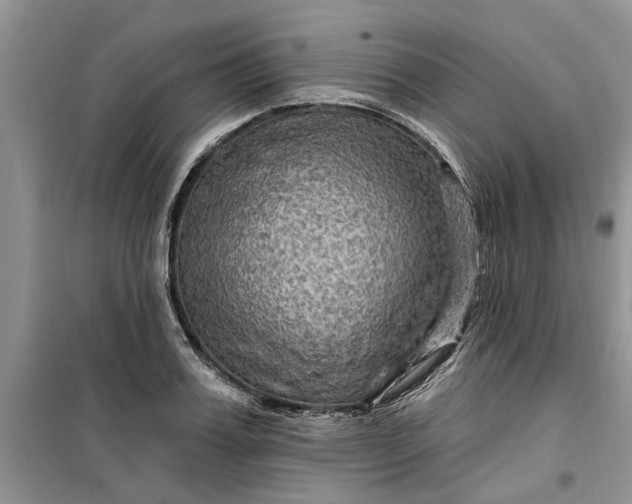 X0000099500987200805291124