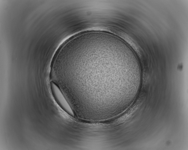 X0000099500988200805291124