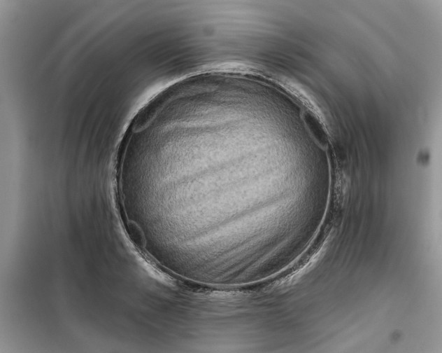 X0000099500989200805291124