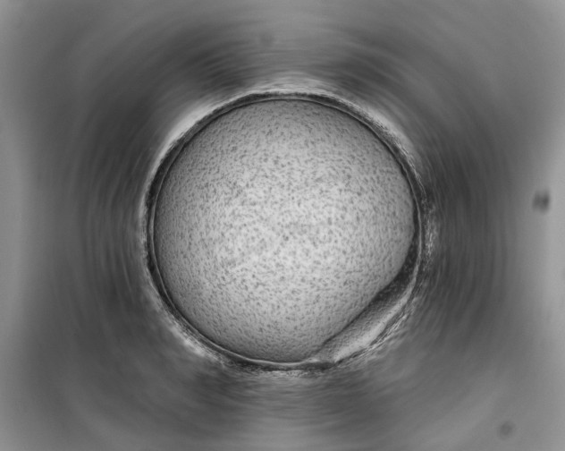 X0000099500990200805291124