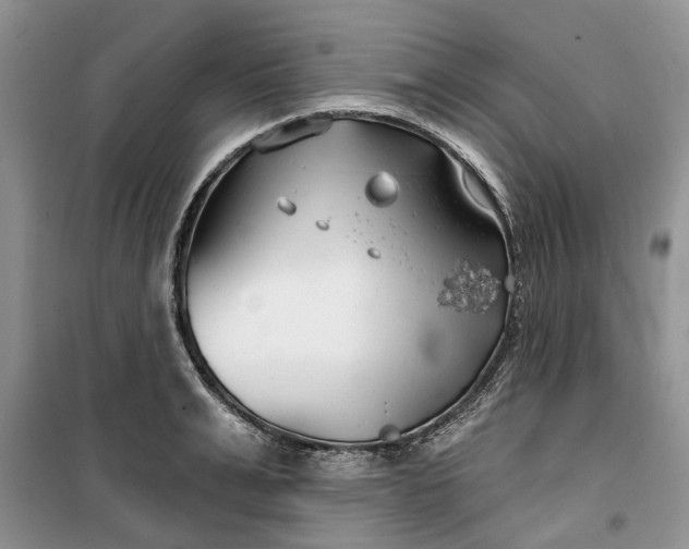 X0000099500991200805291124