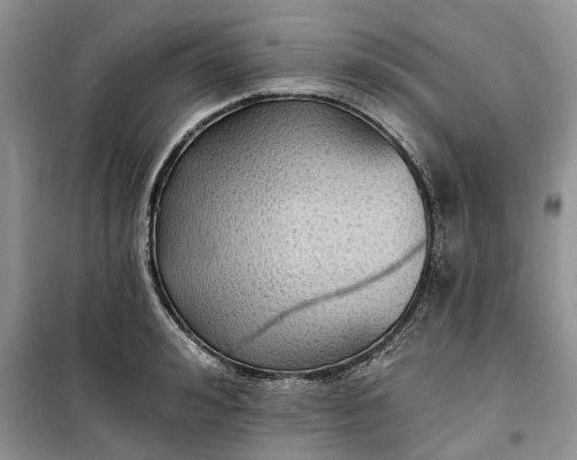 X0000099500992200805291124