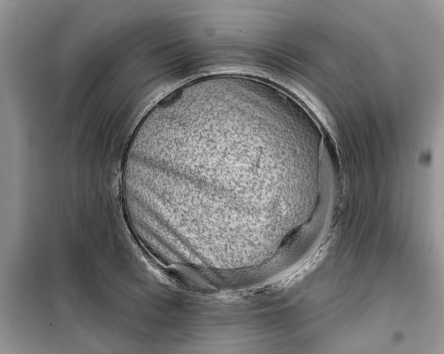 X0000099500993200805291124