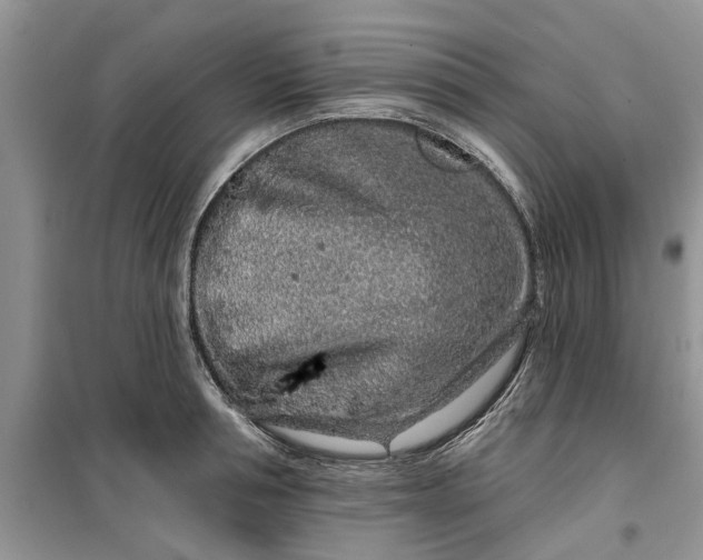 X0000099500994200805291124