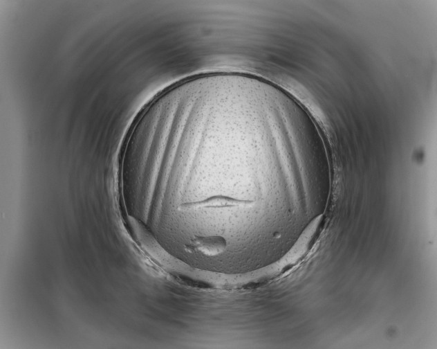 X0000099500996200805291124