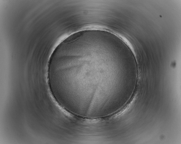 X0000099500997200805291124