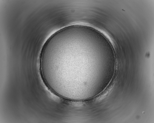 X0000099500999200805291124