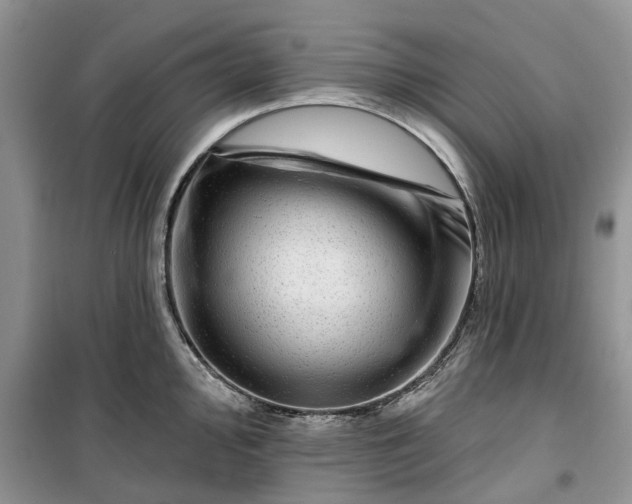 X0000099501000200805291124