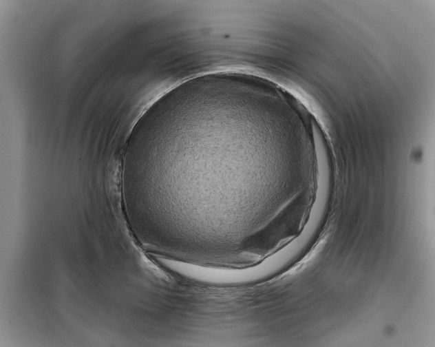 X0000099501001200805291124