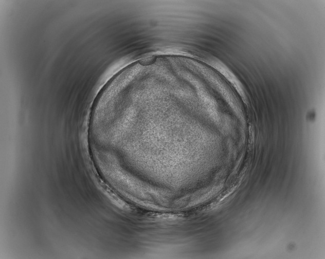 X0000099501002200805291124