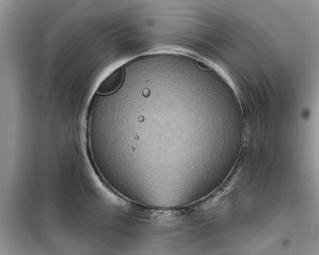 X0000099501003200805291124