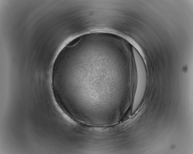 X0000099501005200805291124