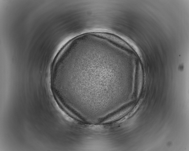 X0000099501006200805291124