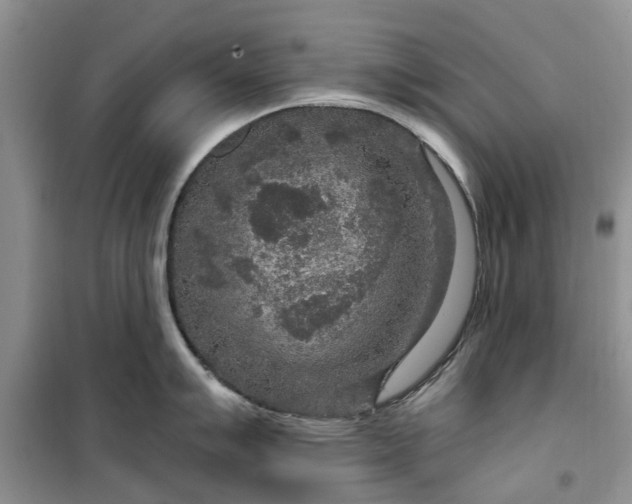 X0000099501007200805291124