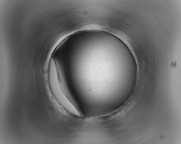 X0000099501008200805291124