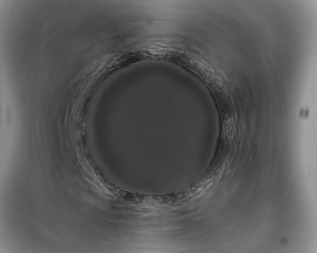 X0000099501009200805291123