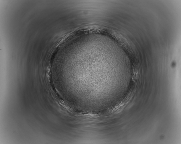 X0000099501010200805291123