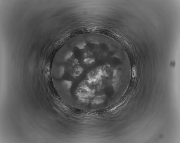 X0000099501011200805291123