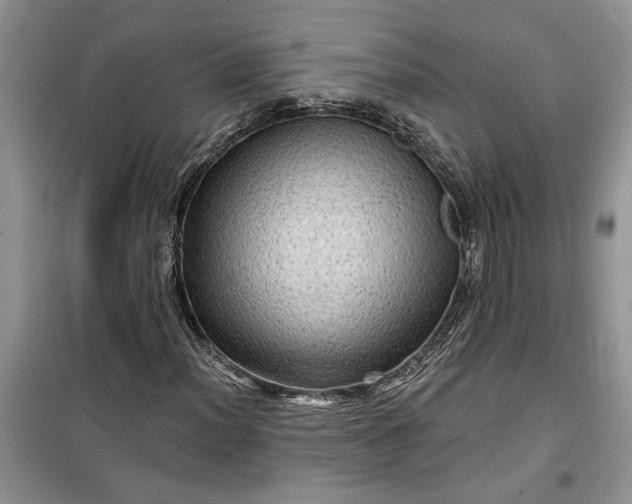 X0000099501012200805291123