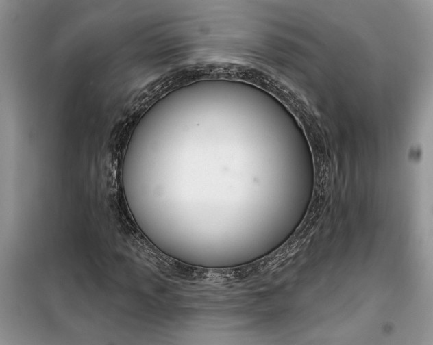 X0000099501013200805291123