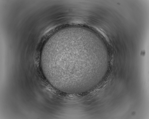 X0000099501015200805291123